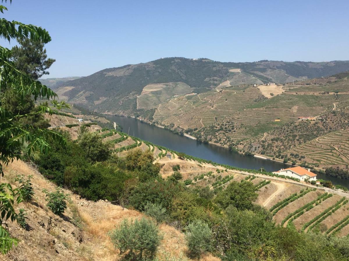 Refugio D'Anita Douro Valley House Barcos Exterior foto